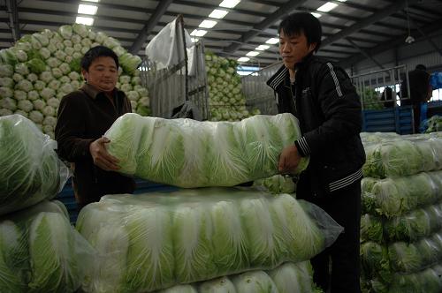 商务部:18种蔬菜平均批发价格下降